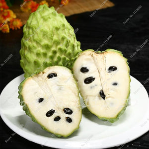50 Seeds/pack Soursop, Graviola