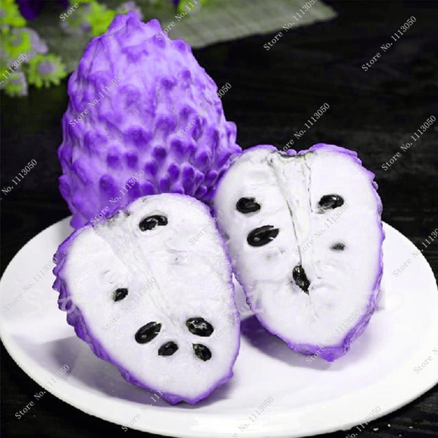 50 Seeds/pack Soursop, Graviola