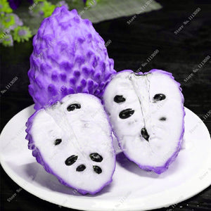 50 Seeds/pack Soursop, Graviola