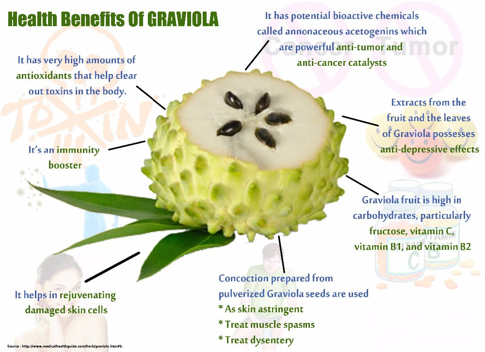 Soursop Graviola Extract Healthy Cell Support, Immune System Booster, Guanabana