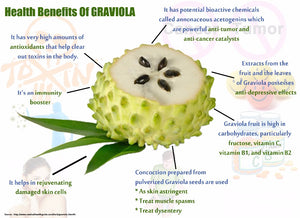 Soursop Graviola Extract Healthy Cell Support, Immune System Booster, Guanabana